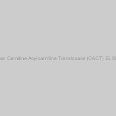 Image of Human Carnitine Acylcarnitine Translocase (CACT) ELISA Kit